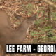 Lee Farm Hunting