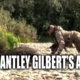 Brantley Gilbert's Alaska
