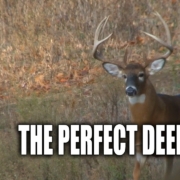 Perfect Deer Hunt