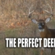 Perfect Deer Hunt