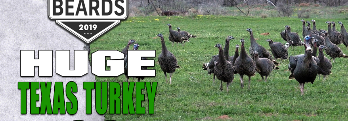 Turkey Flock - Backwoods Life