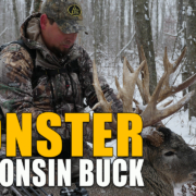 Monster Wisconsin Buck