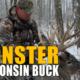 Monster Wisconsin Buck