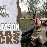 Texas-Late-Season-Bucks