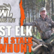 Elk Hunting