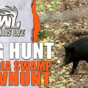 GA Hog Hunt