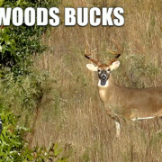 Backwoods bucks Ep 17