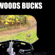 Backwoods Bucks