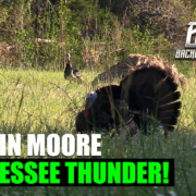 Tennessee Thunder