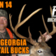 Giant Georgia bucks Backwoods Life