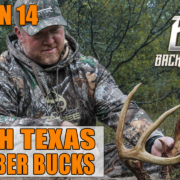 Backwoods Life Texas Bucks