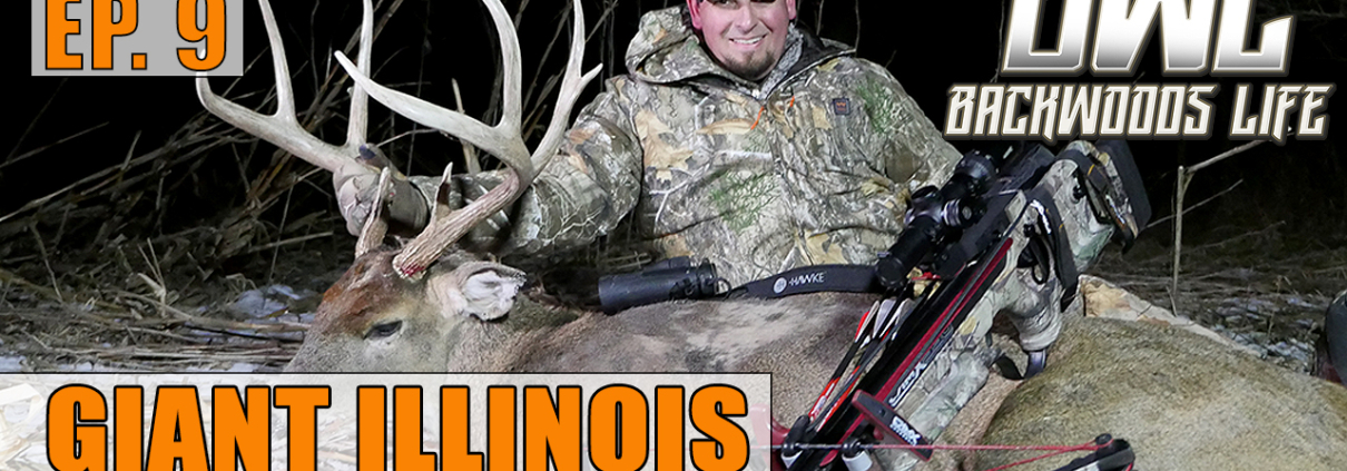 Backwoods Life Illinois Bucks