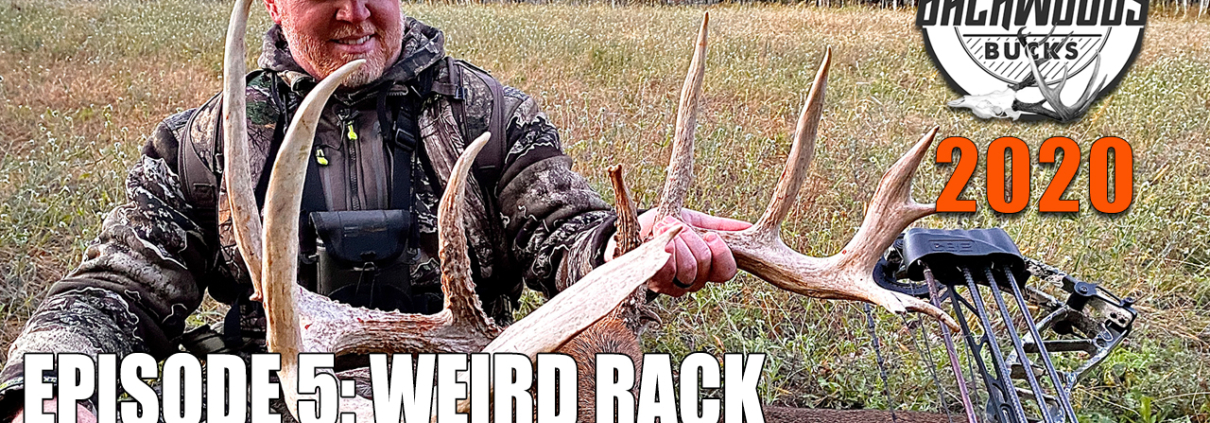 Weird Racked Bow Buck - BWB20.5