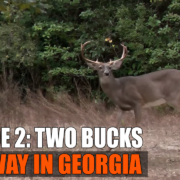 Backwoods Bucks 2020 EP 2