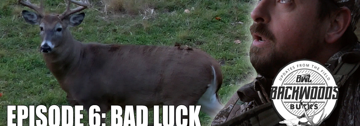 Bad Luck Big Buck