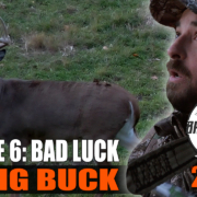 Bad Luck Big Buck