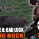 Bad Luck Big Buck