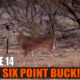 Giant Six Point