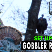 Set Up on A Gobbler Roost