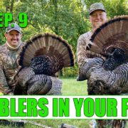 Gobblers In your Face