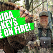 Florida Turkey Hunting