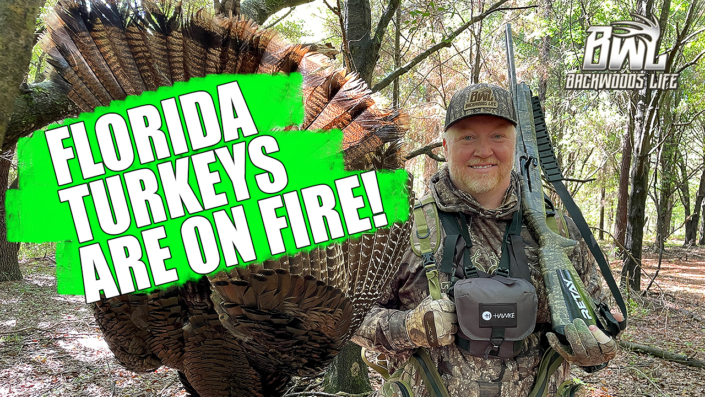 Florida Turkey Hunting