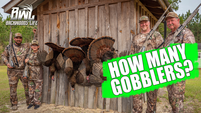How many gobblers?