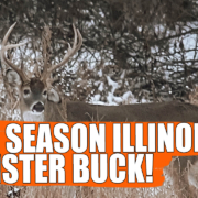 Late Season Illinois Buck