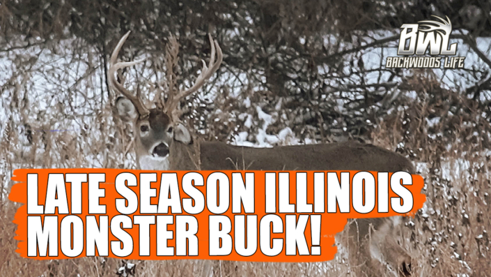 Late Season Illinois Buck