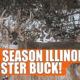 Late Season Illinois Buck