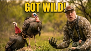 Texas Got WILD!
