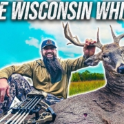 Wisconsin bow beast