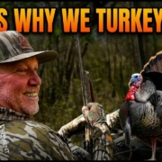 This is why we turkey hunt