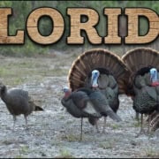 She Missed Then This!